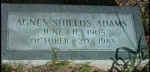 adamsagness.jpg (35145 bytes)