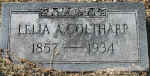 coltharpleliaa.jpg (91683 bytes)