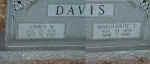 davisjamesandmargurite.jpg (84644 bytes)