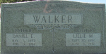 walkerdelm.jpg (173171 bytes)