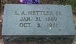 nettleslasr.jpg (28719 bytes)