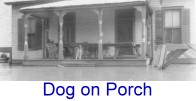 27flood06dogonporch.jpg (39662 bytes)