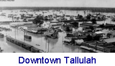 neill_flood13_downtowntallulah.jpg (50672 bytes)